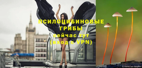 марихуана Абаза