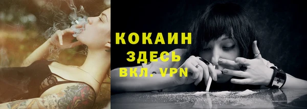 ГАЛЛЮЦИНОГЕННЫЕ ГРИБЫ Абинск