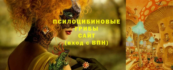 молекула духа Гусиноозёрск