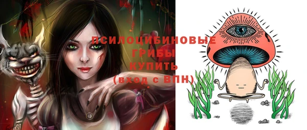ГАЛЛЮЦИНОГЕННЫЕ ГРИБЫ Абинск