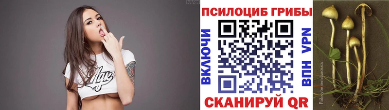 что такое Нижняя Салда Галлюциногенные грибы мицелий