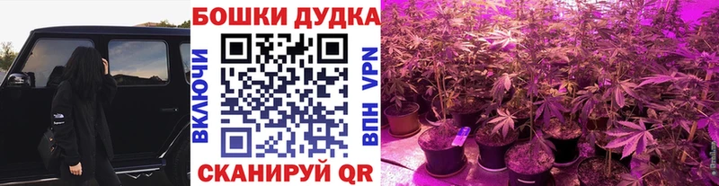 Канабис VHQ  Нижняя Салда 